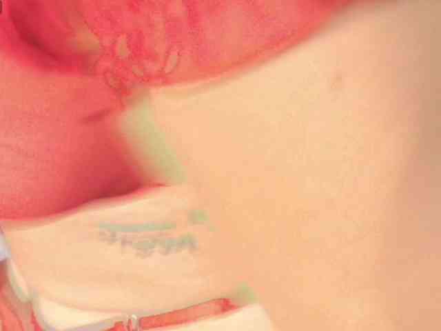 Pammela-Smith webcam