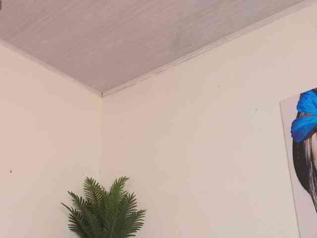 Pammela-Smith webcam