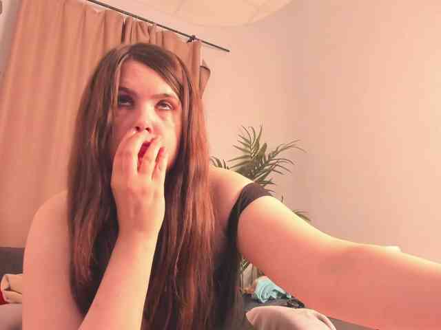 Battymoll webcam