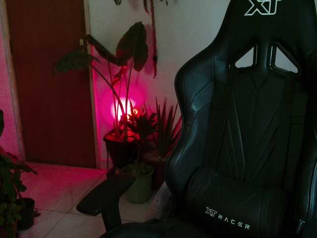 myamillor live cam on BongaCams