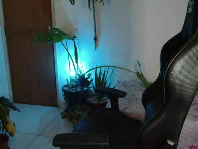 Modelo: myamillor