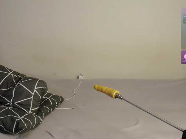 leytorri live cam on BongaCams