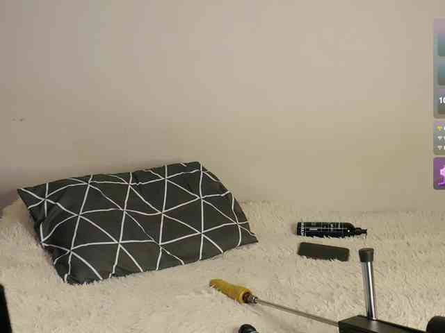 leytorri webcam