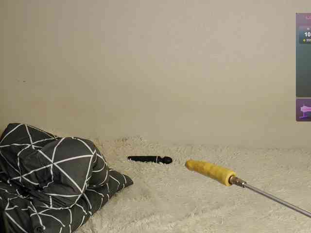 leytorri webcam