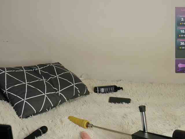 leytorri webcam