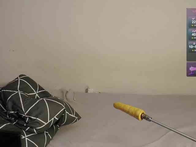 leytorri webcam