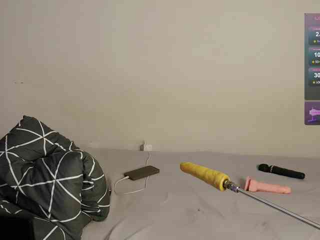 leytorri webcam