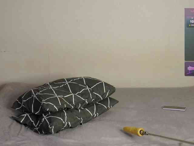 leytorri webcam