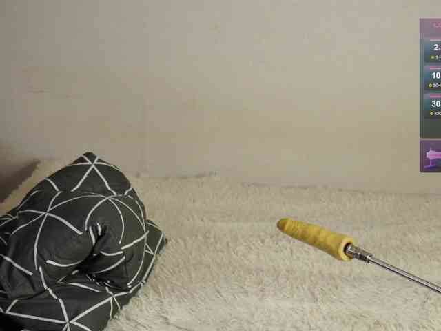 leytorri webcam