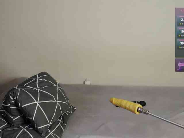 leytorri webcam