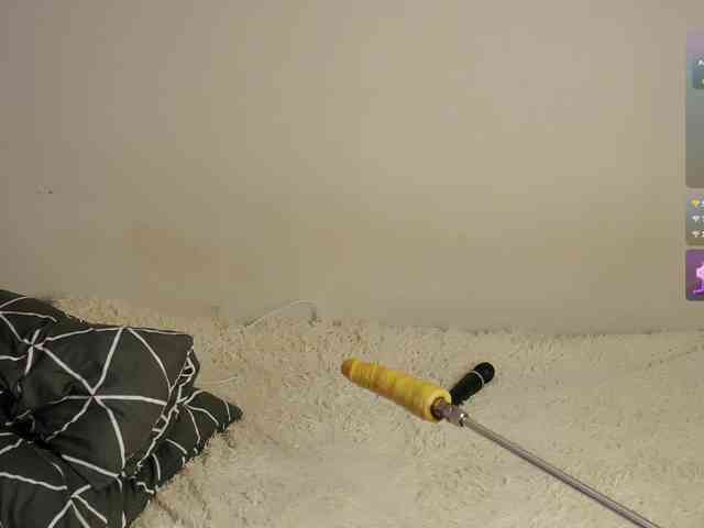 leytorri webcam