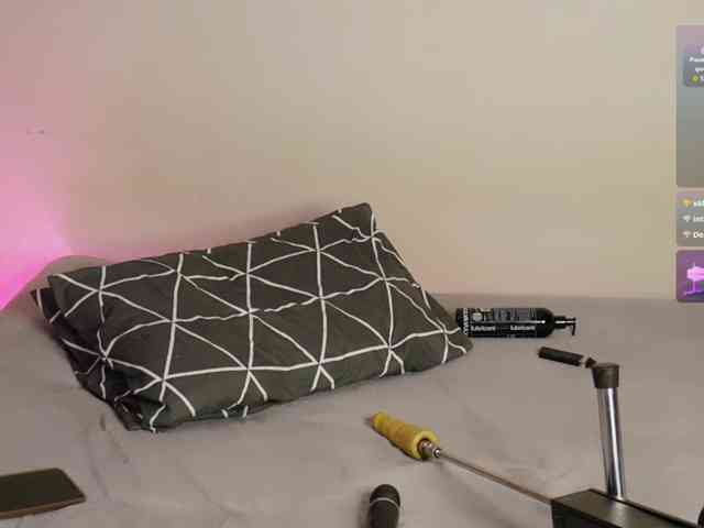 leytorri webcam
