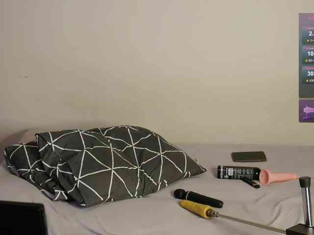 leytorri webcam