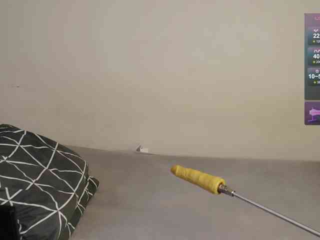 leytorri webcam