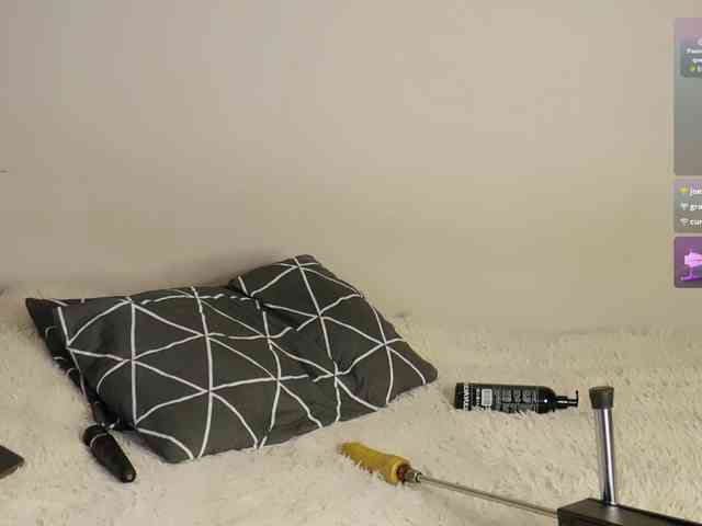 leytorri webcam