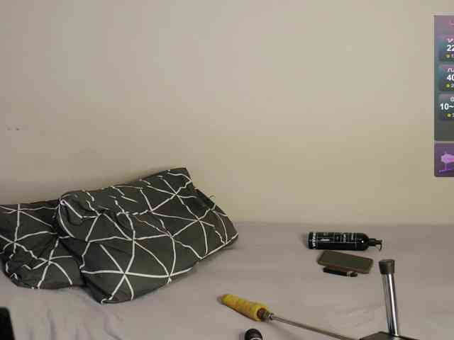 leytorri webcam