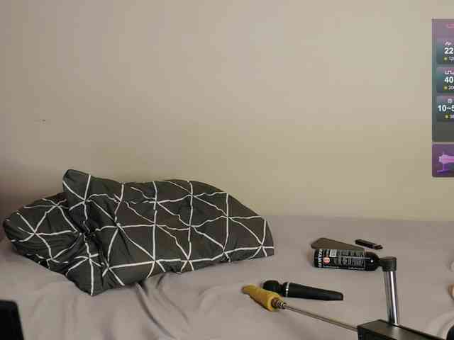 leytorri webcam