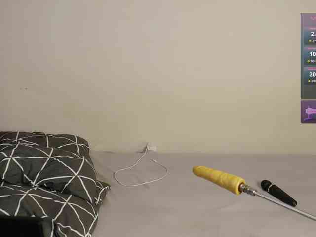 leytorri webcam