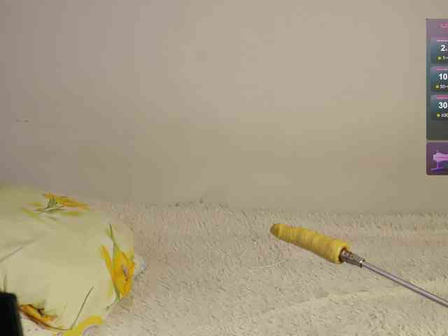 leytorri webcam