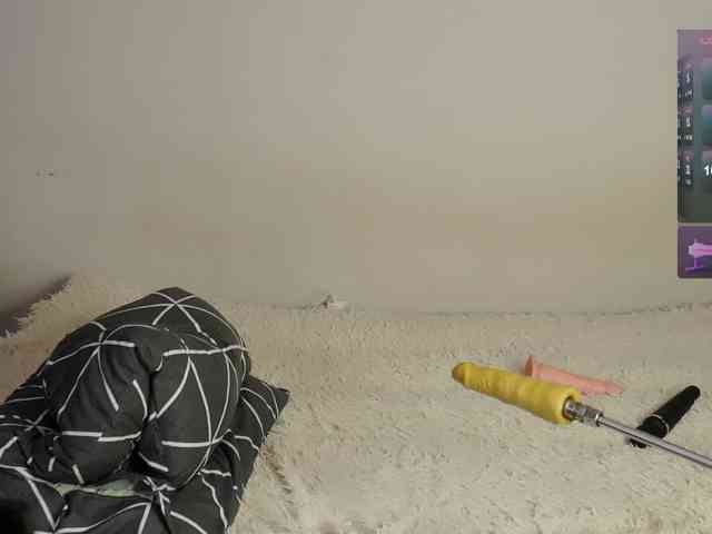 leytorri webcam