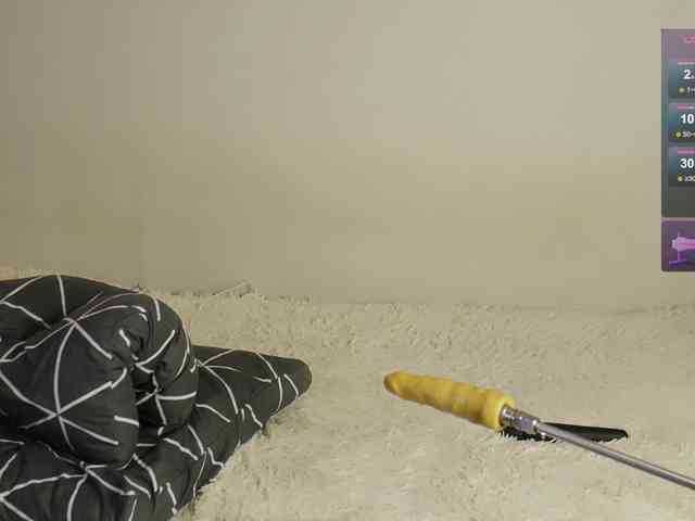 leytorri webcam