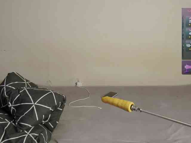 leytorri webcam