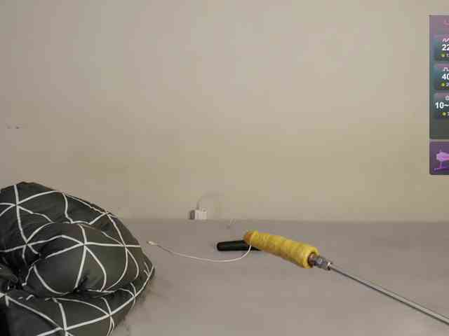 leytorri webcam