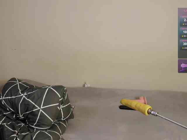 leytorri webcam