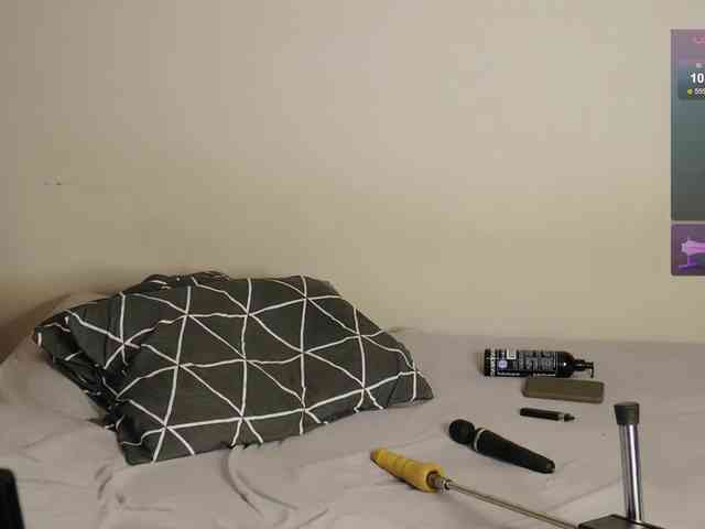 leytorri webcam