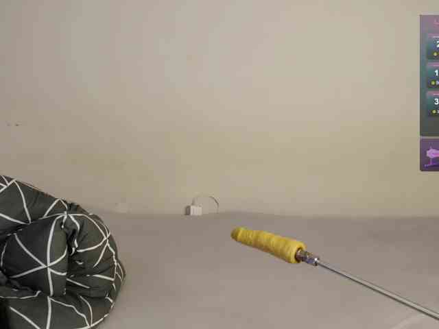 leytorri webcam
