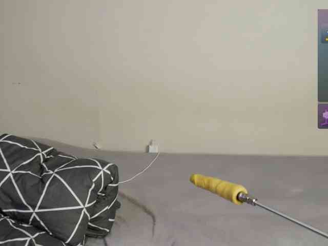 leytorri webcam