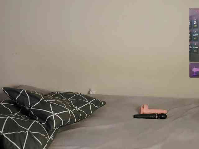leytorri webcam