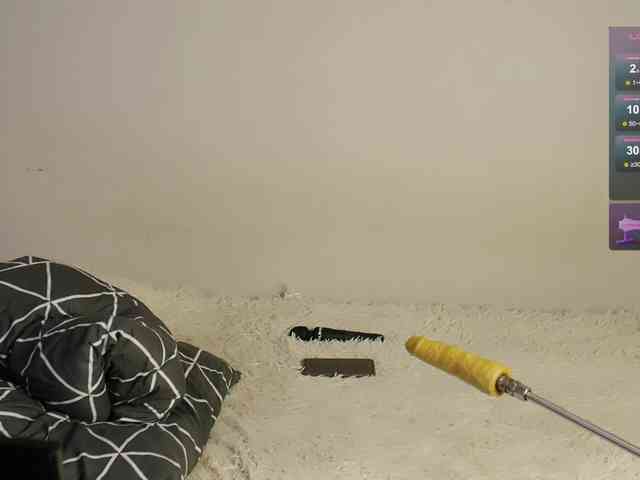 leytorri webcam
