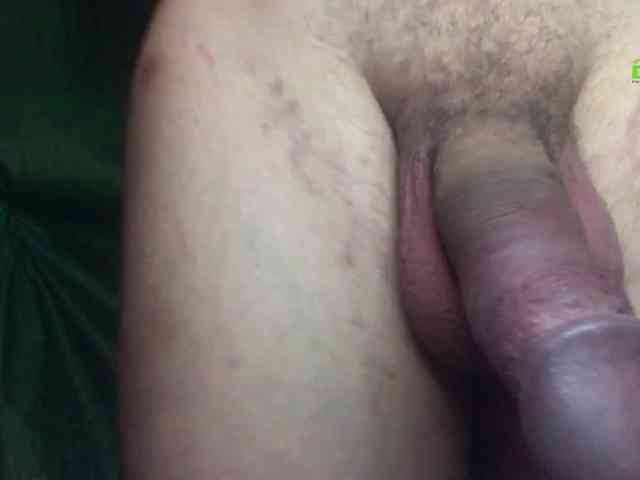 maxdex1 maxdex1