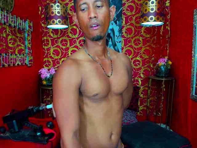 HARRISONBLACK