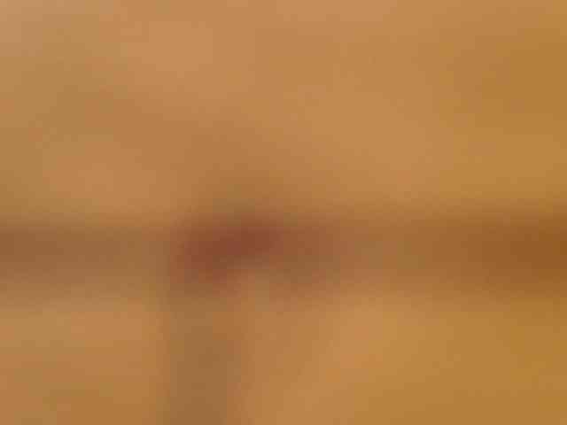 LEAperfect webcam