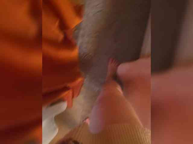 Swiit777 webcam