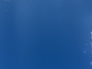LYALYAtop