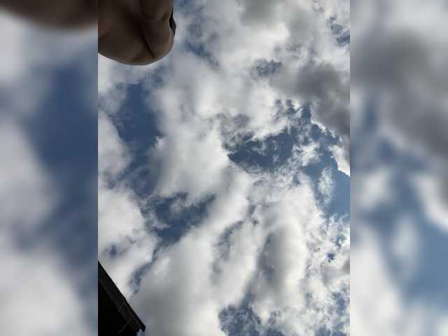 LYLAtop
