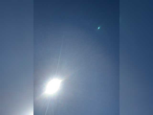 lylatop cam belle