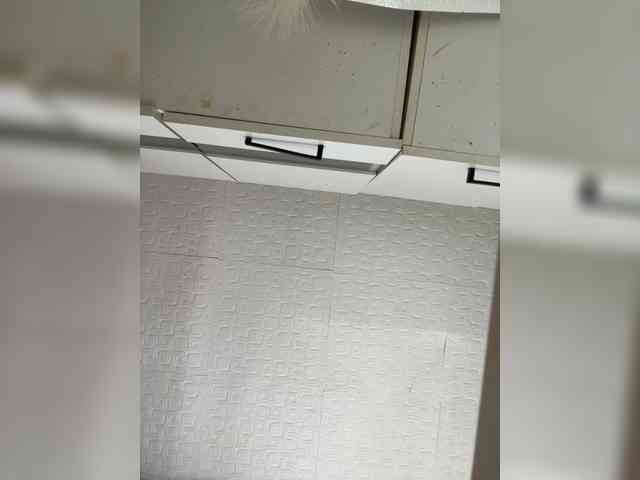 LYALYAtop webcam