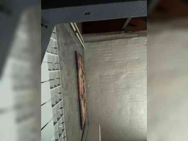 LYALYAtop webcam
