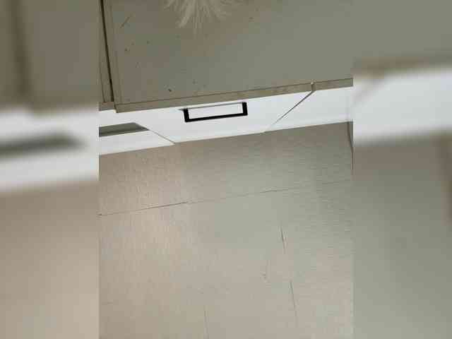 LYALYAtop webcam