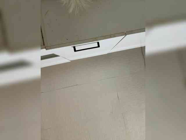 LYALYAtop webcam