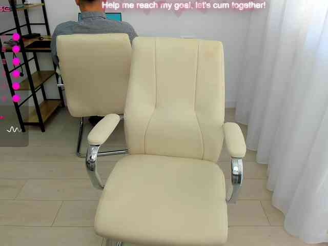 EveeEvian webcam