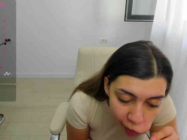 EveeEvian webcam