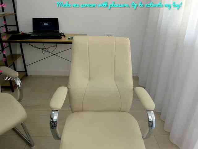 EveeEvian webcam