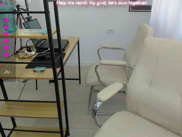 EveeEvian webcam