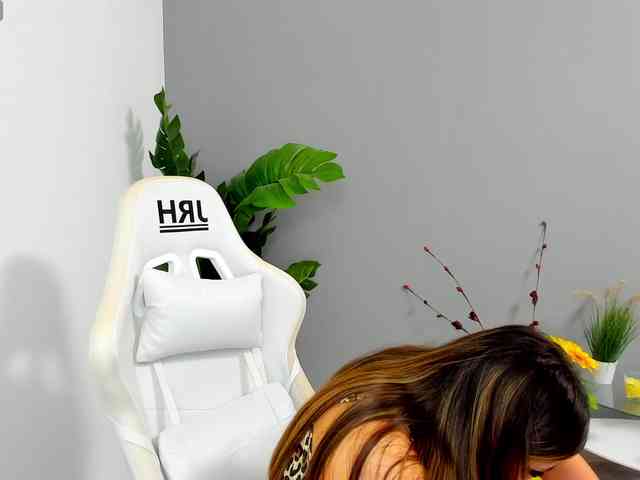 EveeEvian webcam