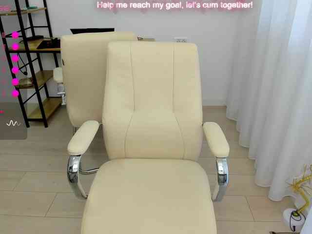 EveeEvian webcam